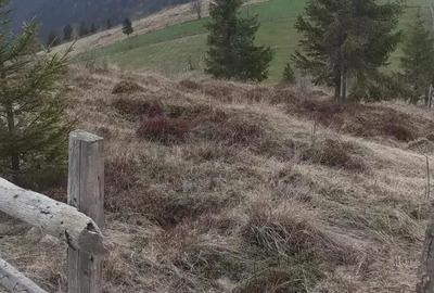 Teren de 4460 mp, în Măguri - 2