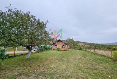 Teren Investitie- 1730 mp-Cabana construita 60 mp - 20