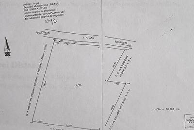 Teren de 60000 mp, în Central - 4