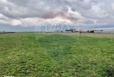 Spațiu comercial, în Tărlungeni - 5