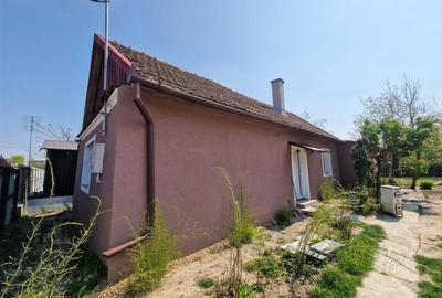 Casă cu 3 camere cu Teren 933 Mp în Sălard - 18