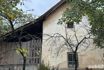 Casa boiereasca cu 3 camere, teren 1500mp + gradina 500mp - 5