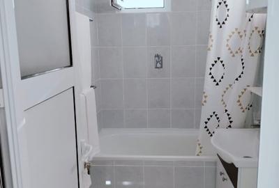Apartament cu 2 camere semidecomandat, mobilat în Baba Novac - 9