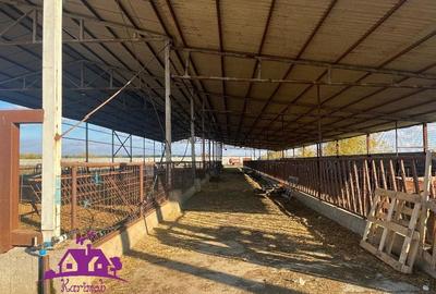 Teren industrial si o constructie pe structura metalica - 2