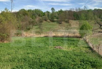 Teren intravilan/extravilan - 5