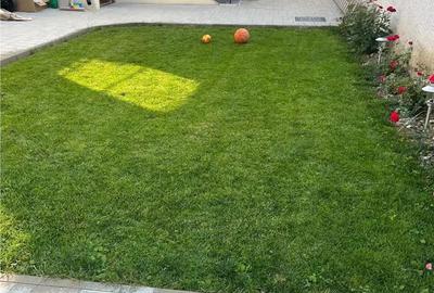 Oportunitate CASA CENTRAL 3 camere, CURTE, PARCARE - 12