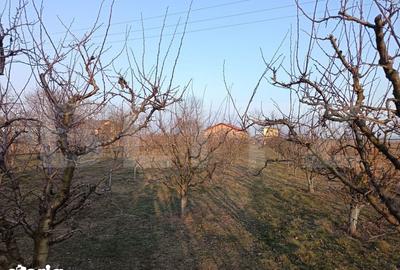 Spațiu comercial, de 300 mp, în Filipeștii de Pădure - 10