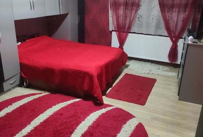 Casă cu 2 camere cu Teren 102 Mp în Lugoj - 7