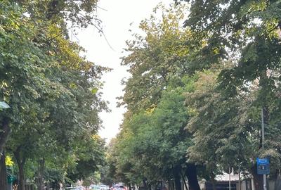 Vila renovată 2025 cu finisaje premium - 5