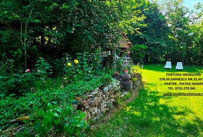 Vila P+1+5600 mp teren, proprietate de 5 km de oras - 4