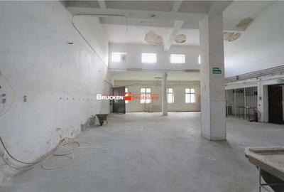 Spațiu comercial, de 1,500 mp, în Vașcău - 8