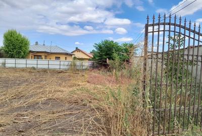 Movilita (IL)-teren de inchiriat aprox. 2 ha stradal, lan... - 33