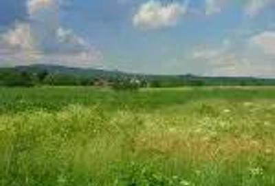 Teren de 3300 mp, în Urleta - 2