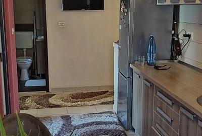Apartament cu 2 camere decomandat în Bârzești - 2