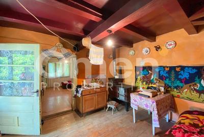 Casă individuală cu 2 camere cu Canalizare în Berința - 4