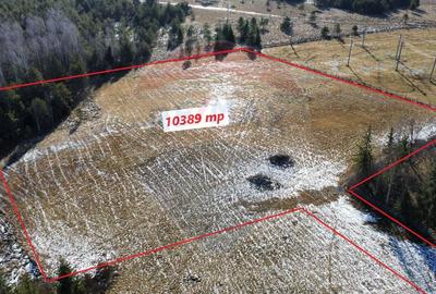 Teren 19,475mp Neagra Sarului / Strada Principala - 11