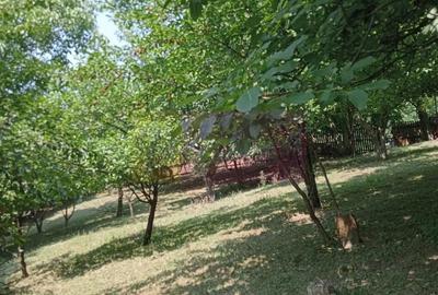 Casă cu 3 camere cu Teren 1427 Mp în Central - 2