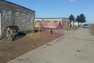 Teren Balotesti- Saftica - 2