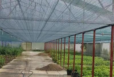 Spațiu comercial, de 1,300 mp, în Blăjenii de Jos - 3