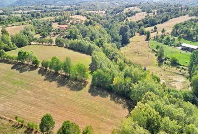 Teren intravilan, priveliste deosebita - 21