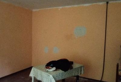 Casă cu 3 camere în Valea Roșie - 10