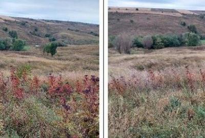 Teren extravilan pasune Ardeoani, ID: R2404613 - 14