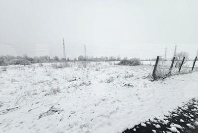 Teren Ronat Timisoara - 3