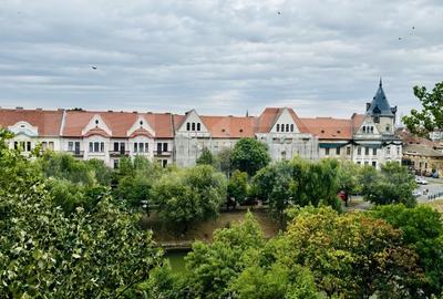 Apartament 2 camere cu vedere spre Bega - oportunitate de investitie/ renovare - 9