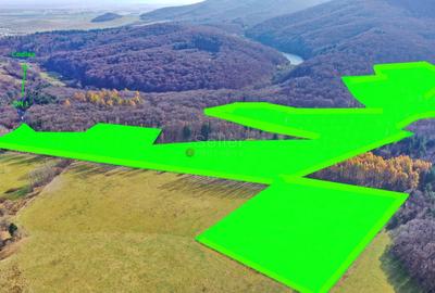 Teren Intravilan - Amplasare Unica - 2