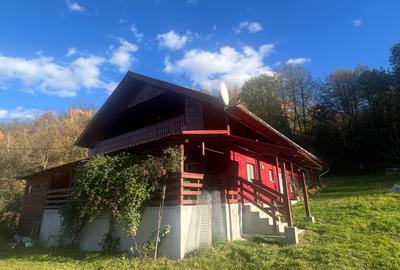 Casă cu 4 camere în Vidolm - 3