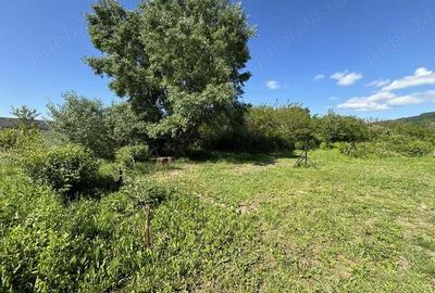 Teren Bujoreni Olteni - 5