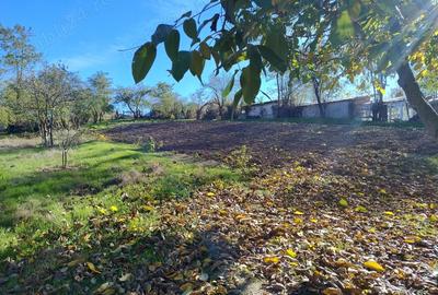 Vand casa batraneasca - 1