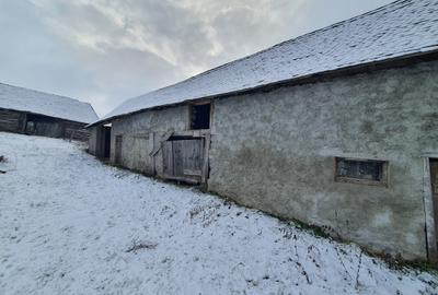 Casa singur în curte - 5