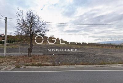 Teren Imprejmuit, la sosea (DN14)- SURA MARE - 9