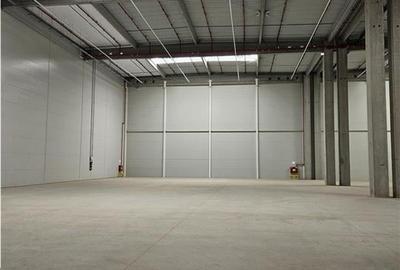 Spatiu Industrial - 1800 mp - Logistica - Productie - Depozitare - Distributie - 1