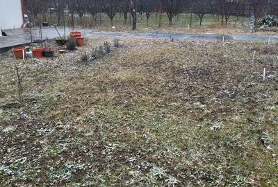 Casă în Olteni - 5