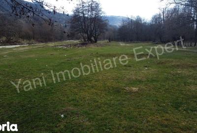 Teren de 3000 mp, în Corbeni - 1