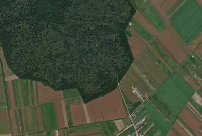 Parcelă teren 433 mp lângă pădure - 1