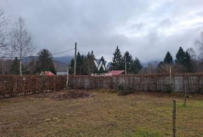 Teren deosebit pozitionat, cu livada, langa padure,  pe Valea Avrigului - 7