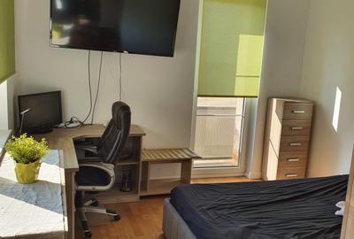Inchiriez apartament tip studio cu garaj si anexa, Str. Terra, Cluj Napoca - 2
