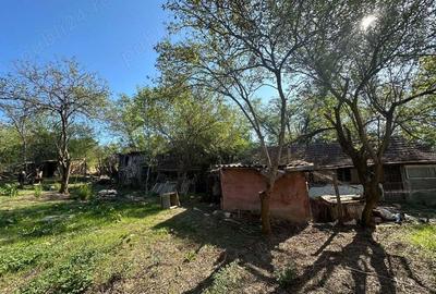 Vand casa+teren 3700mp Butoiesti MH - 6