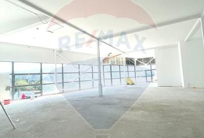 Spațiu comercial, de 520 mp, în Colentina