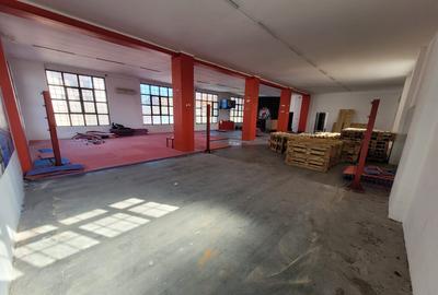 Spațiu comercial, de 370 mp, în Boul Roșu - 9