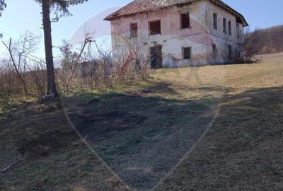 Fost Conac cu padure si teren 54h - 4