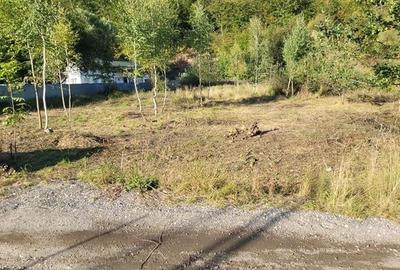 Teren intravilan, 699mp, Noua, Brasov - 2