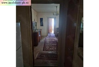 Apartament 2 camere de vanzare :Nord - (Cameliei) - 5