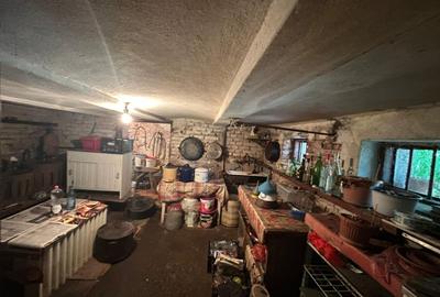 Casa individuala 3 camere- Turnisor, Sibiu - 19