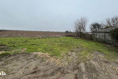 Teren de 1950 mp, în Mogoșani - 6