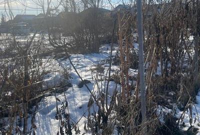 Teren Construcții intravilan de 10595 mp, în Giurgiului - 4