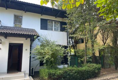 Iancu Nicolae vila 5 dormitoare gradina matura - 4